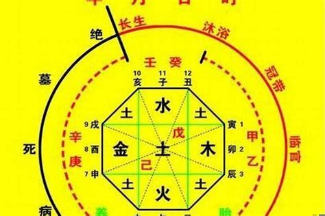 八字喜用神怎麼看|【如何看喜用神】八字入門必學！解密你的喜用神，掌握運勢先。